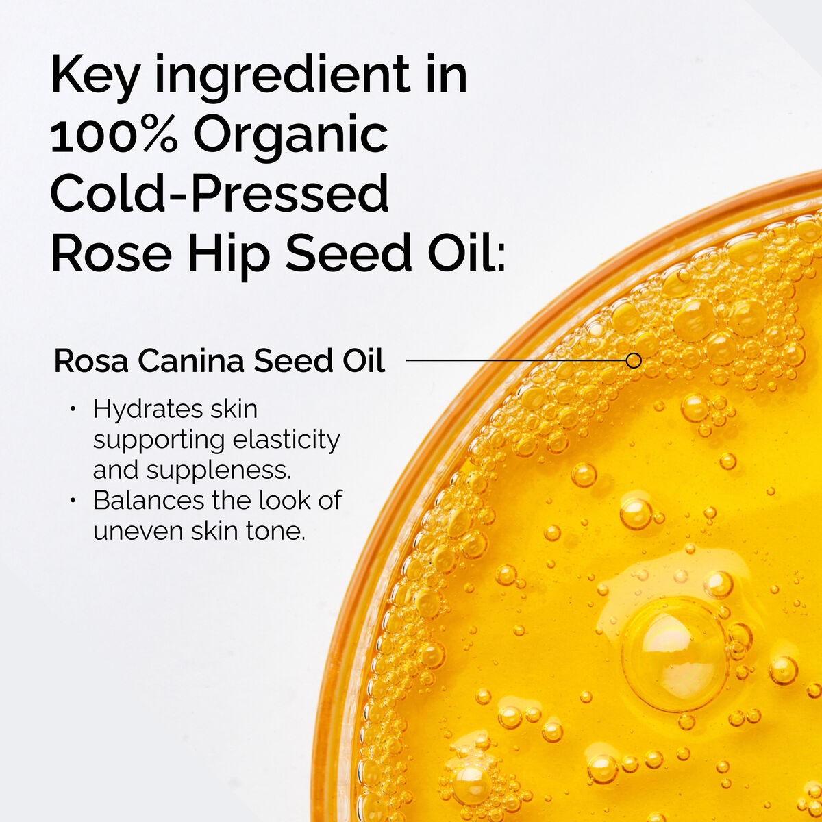 100-organic-cold-pressed-rose-hip-seed-oil-l1 FY25-D41247-ORD-Web-PDP-100-Rose-Hip-Oil-1x1-EN-2.jpg